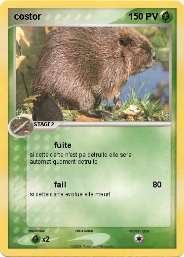 Pokemon costor