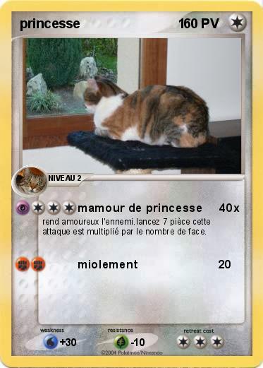 Pokemon princesse                           1
