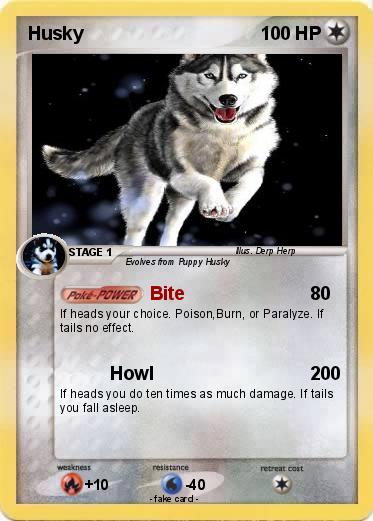 Pokemon Husky