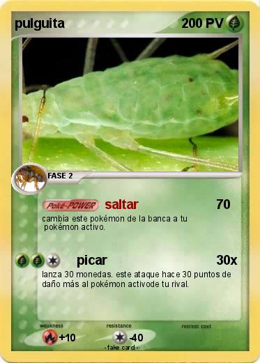 Pokemon pulguita