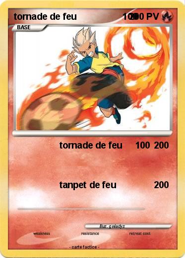 Pokemon tornade de feu                  100