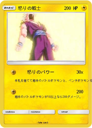 Pokemon 怒りの戦士