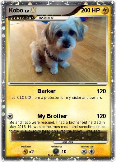 Pokemon Kobo