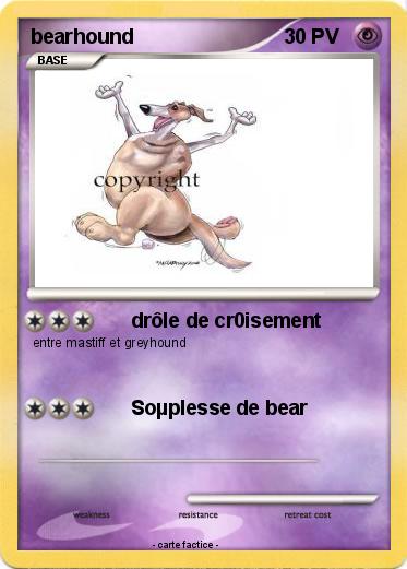 Pokemon bearhound