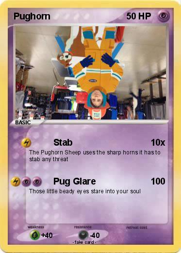 Pokemon Pughorn
