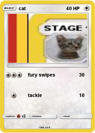 Pokemon cat