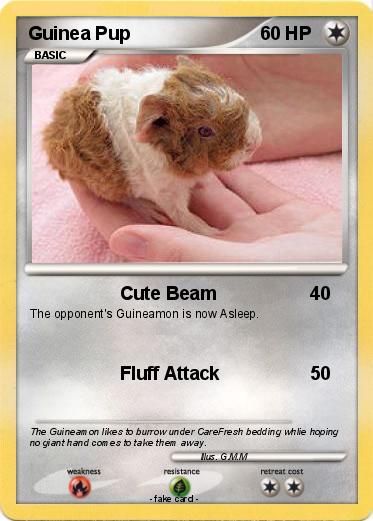 Pokemon Guinea Pup
