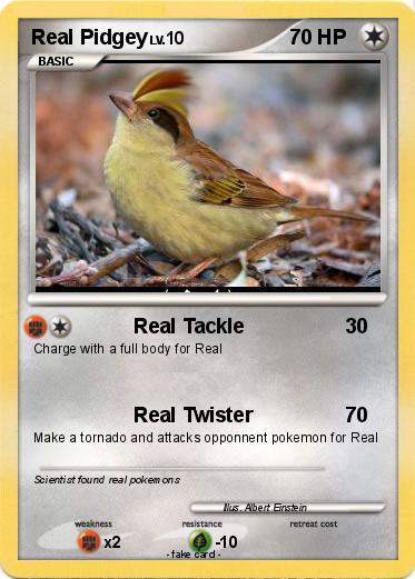 Pokemon Real Pidgey