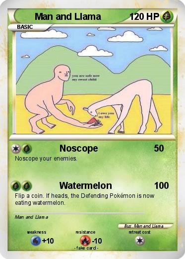 Pokemon Man and Llama