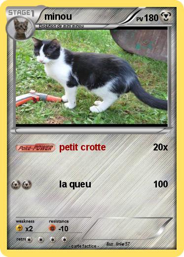 Pokemon minou