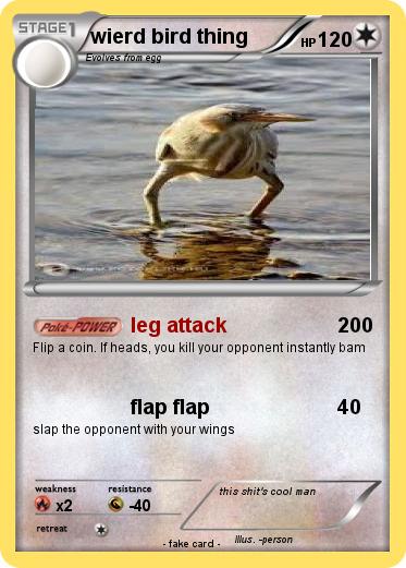 Pokemon wierd bird thing