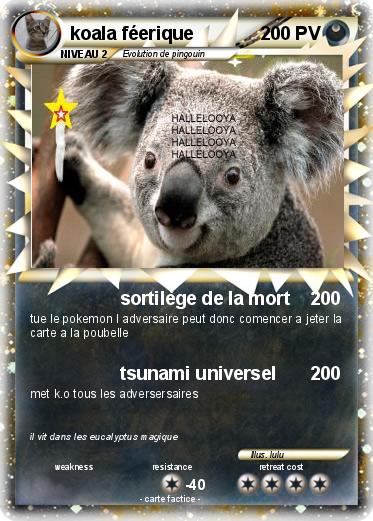Pokemon koala féerique