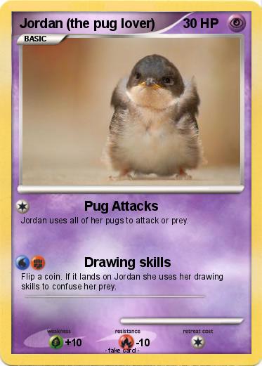 Pokemon Jordan (the pug lover)