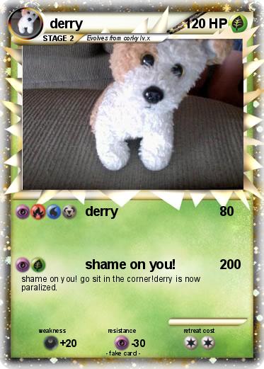 Pokemon derry