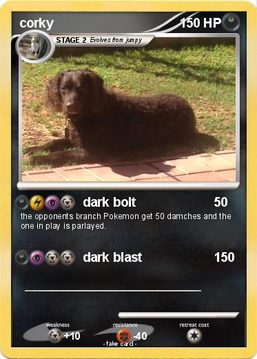 Pokemon corky