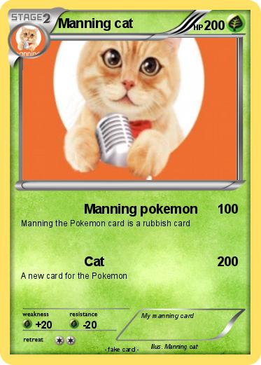 Pokemon Manning cat