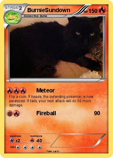 Pokemon BurnieSundown