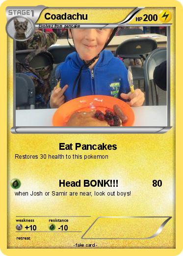 Pokemon Coadachu