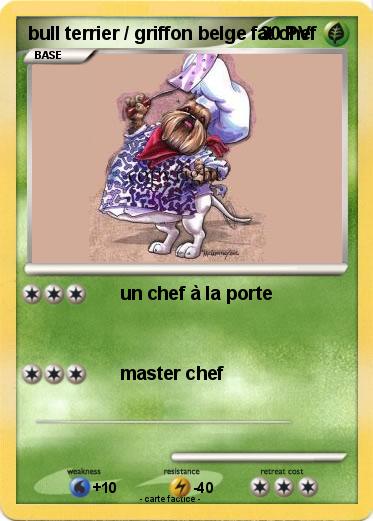 Pokemon bull terrier / griffon belge fat chef