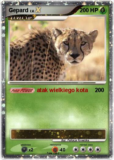 Pokemon Gepard