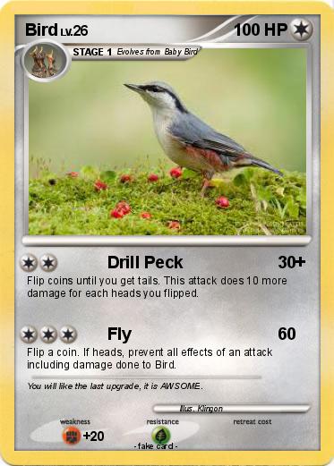 Pokemon Bird