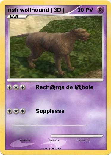 Pokemon irish wolfhound ( 3D )