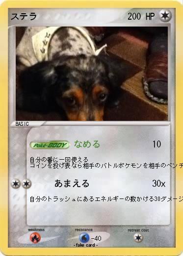Pokemon ステラ