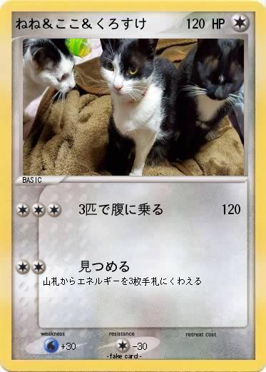 Pokemon ねね＆ここ＆くろすけ