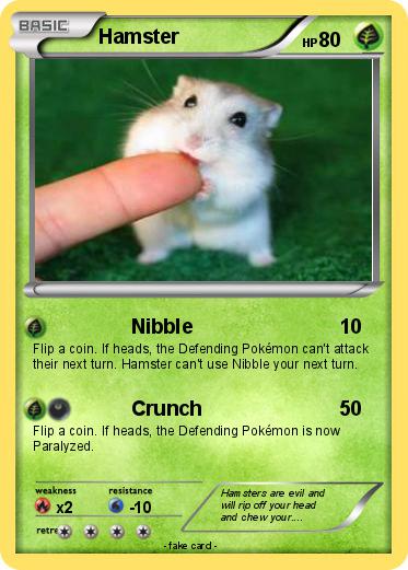 Pokemon Hamster