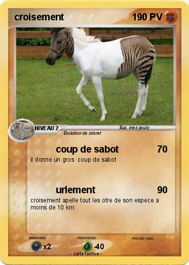 Pokemon croisement