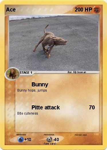 Pokemon Ace