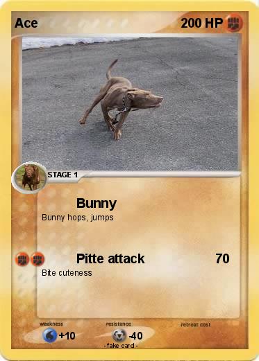 Pokemon Ace