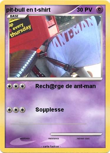 Pokemon pit-bull en t-shirt