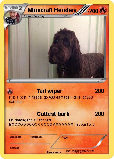 Pokemon Minecraft Hershey