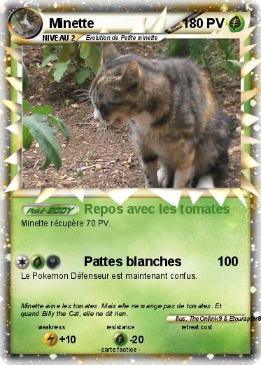 Pokemon Minette