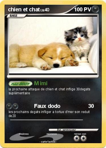 Pokemon chien et chat