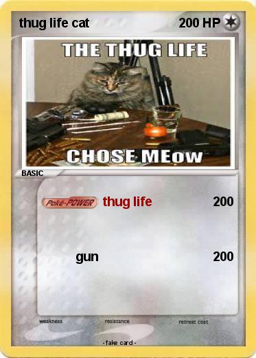 Pokemon thug life cat
