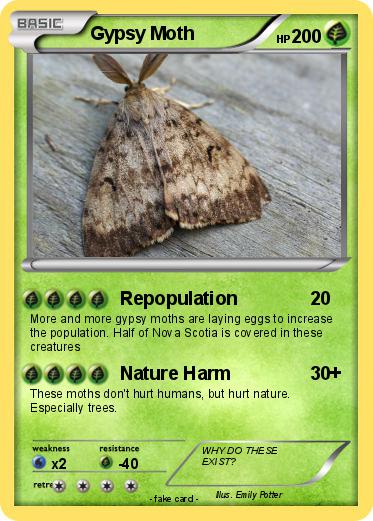 Pokemon Gypsy Moth