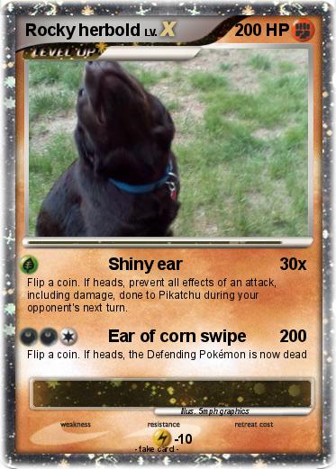 Pokemon Rocky herbold
