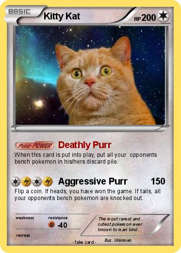 Pokemon Kitty Kat