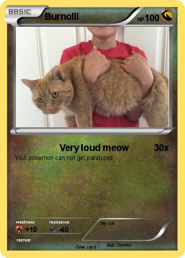 Pokemon Burnolli