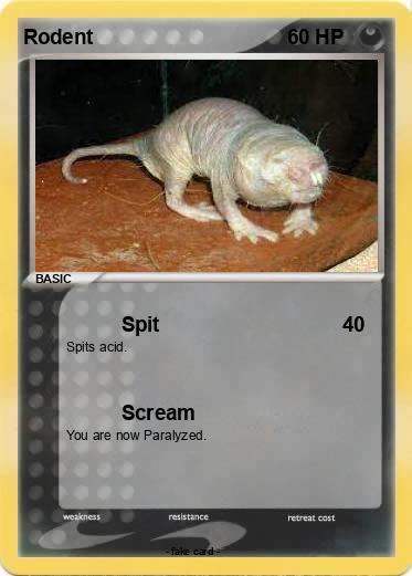Pokemon Rodent