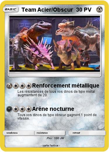 Pokemon Team Acier/Obscur