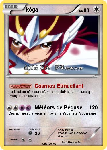 Pokemon kôga