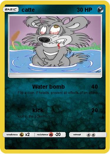 Pokemon catte