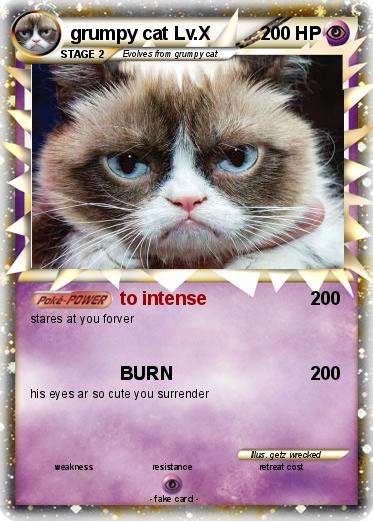 Pokemon grumpy cat Lv.X