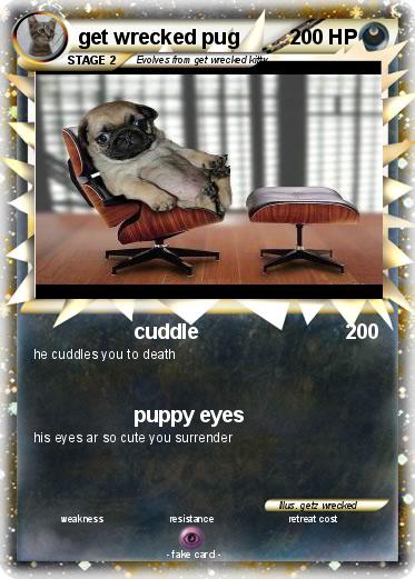 Pokemon get wrecked pug