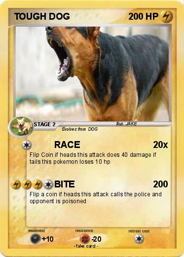 Pokemon TOUGH DOG
