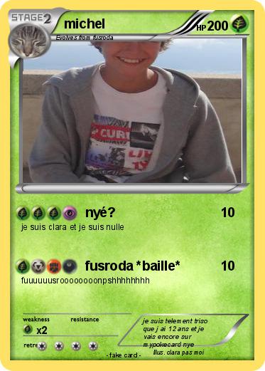 Pokemon michel