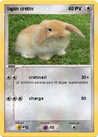Pokemon lapin crétin